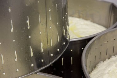 Yunanistan 'daki bir peynir fabrikasında Yunan feta peyniri üretiminin aşamaları