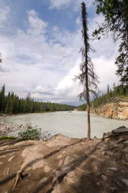 Athabasca Falls Alberta Kanada 