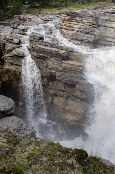 Athabasca Falls Alberta Canadá —  Fotos de Stock