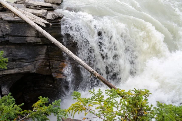 Athabasca Falls Albertě Kanadě — Stock fotografie