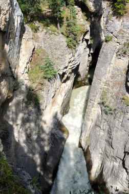 Kanada Alberta 'da Sunwapta Şelalesi 