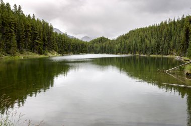 Moose Gölü 'ne yağan yağmur yazın bulutlu bir günde Jasper' da Banff Ulusal Parkı, Alberta, Kanada