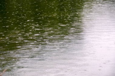 Moose Gölü 'ne yağan yağmur yazın bulutlu bir günde Jasper' da Banff Ulusal Parkı, Alberta, Kanada