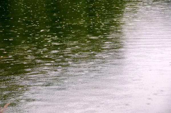 Rain Moose Lake Reflection Cloudy Day Summer Jasper Banff National — Stock Photo, Image