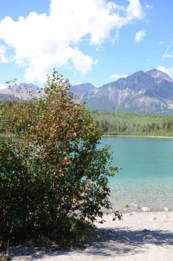 Jasper Kanada'da gölde Patricia üzerine düşünceler