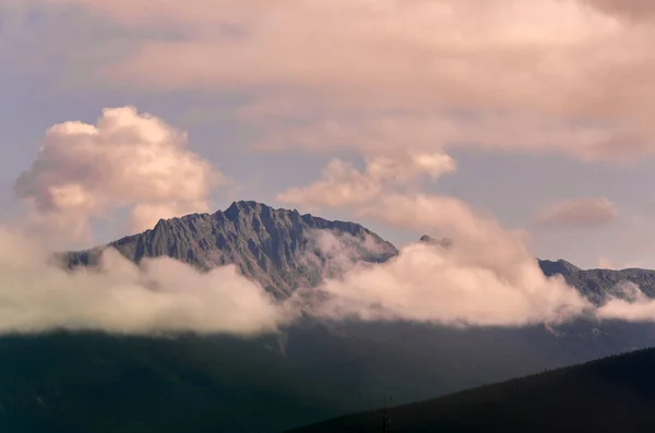 Вид Горы Уистлерс Лето Национальном Парке Джаспер Альберта Канада — стоковое фото