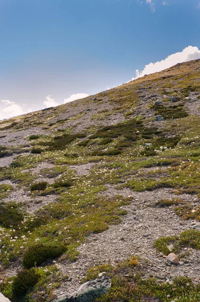 Vista Whistlers Mount Verão Parque Nacional Jasper Alberta Canadá — Fotografia de Stock
