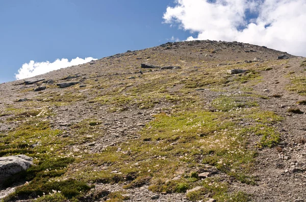 Widok Whistlers Mount Lato Parku Narodowym Jasper Alberta Kanada — Zdjęcie stockowe