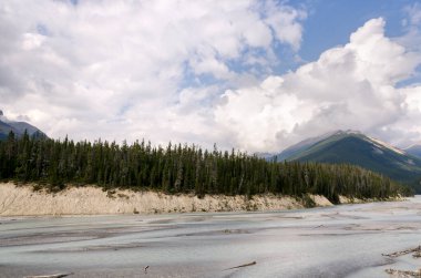 Kanada Alberta 'daki Icefield Parkway yolu boyunca manzara