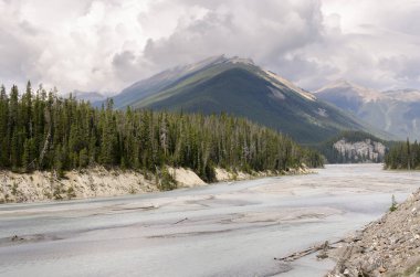 Kanada Alberta 'daki Icefield Parkway yolu boyunca manzara