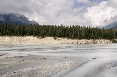 Kanada Alberta 'daki Icefield Parkway yolu boyunca manzara
