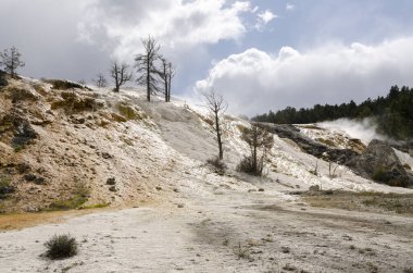 Amerika 'da Wyoming 'deki mamut kaplıcalarda termal yaylar ve kireçtaşı oluşumları