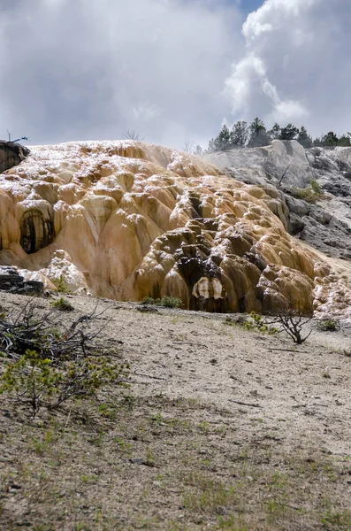 thermal springs and limestone formations at mammoth hot springs in Wyoming in America