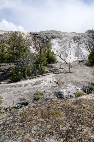Thermische Bronnen Kalksteenformaties Bij Mammoth Hot Springs Wyoming Amerika — Stockfoto