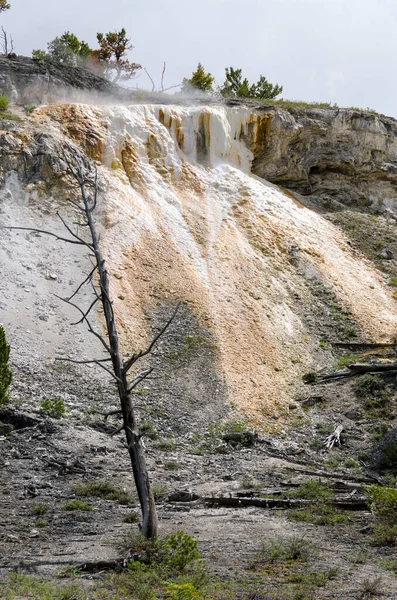 Fuentes Termales Formaciones Piedra Caliza Las Fuentes Termales Mamut Wyoming — Foto de Stock