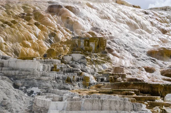 Thermische Bronnen Kalksteenformaties Bij Mammoth Hot Springs Wyoming Amerika — Stockfoto