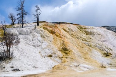 Amerika 'da Wyoming 'deki mamut kaplıcalarda termal yaylar ve kireçtaşı oluşumları