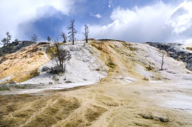 Amerika 'da Wyoming 'deki mamut kaplıcalarda termal yaylar ve kireçtaşı oluşumları