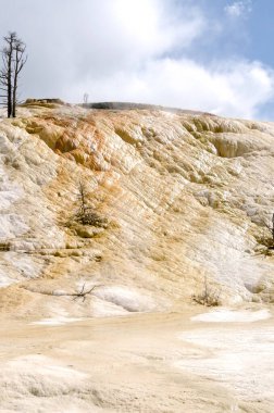 Amerika 'da Wyoming 'deki mamut kaplıcalarda termal yaylar ve kireçtaşı oluşumları