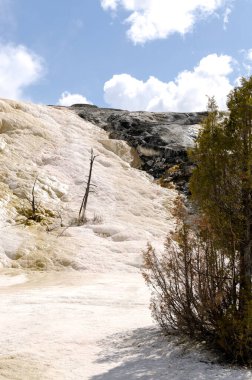 Amerika 'da Wyoming 'deki mamut kaplıcalarda termal yaylar ve kireçtaşı oluşumları