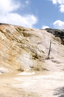 Amerika 'da Wyoming 'deki mamut kaplıcalarda termal yaylar ve kireçtaşı oluşumları