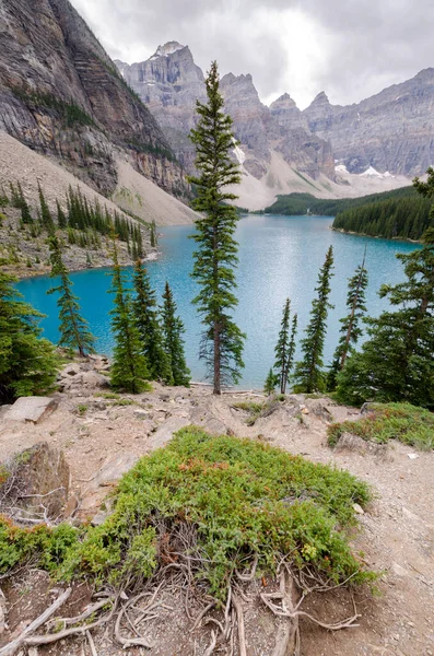 Moraine Gölü Yazın bulutlu bir günde Banff Ulusal Parkı, Alberta, Kanada