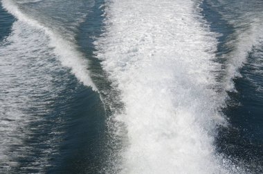 Kanada 'daki Vancouver adasında tekne gezisi