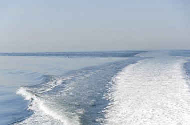 Kanada 'daki Vancouver adasında tekne gezisi