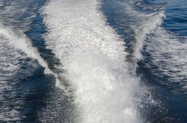 Kanada 'daki Vancouver adasında tekne gezisi