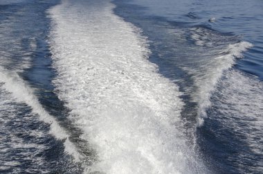 Kanada 'daki Vancouver adasında tekne gezisi