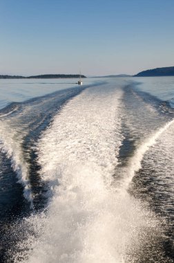 Kanada 'daki Vancouver adasında tekne gezisi