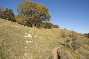 sonbahar manzara dağlarda Cenova İtalya Liguria