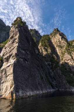 Norveç 'teki Lysefjord fiyordunda bir gemi gezisi sırasında görülmüş.