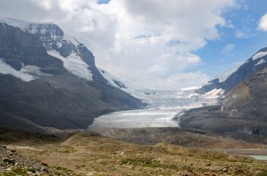 Buzulun Icefield Parkway üzerinde