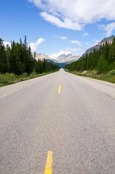 Icefield Parkway in Canada — Stock Photo, Image