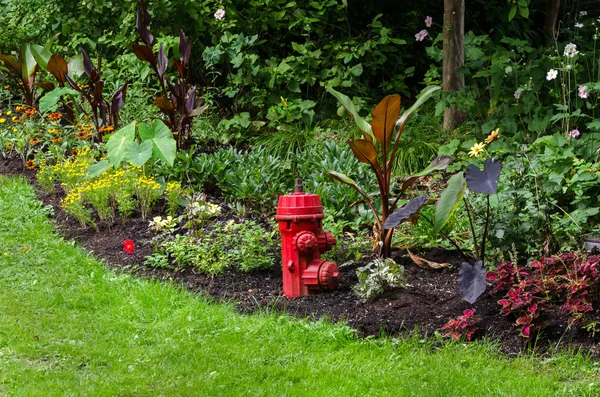 Hydrant to StanleyPark — Stock Photo, Image