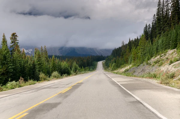 Icefield Parkway — Stock fotografie