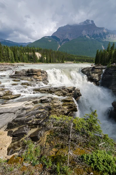 Athabasca rzeki — Zdjęcie stockowe