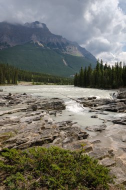 Athabasca şelale