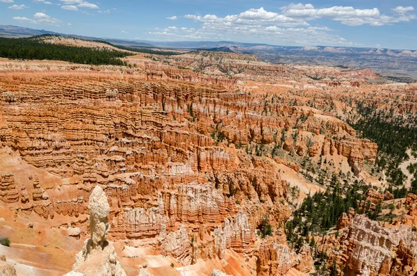 Bryce Canyon. — Fotografia de Stock