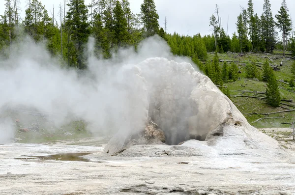 Geyser in Yellowstone — Stock Photo, Image