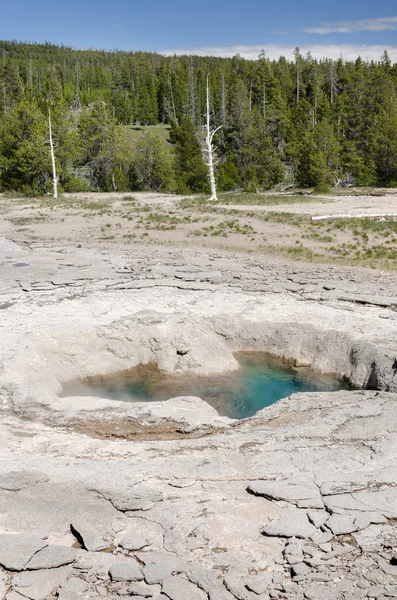 Géiser en Yellowstone — Foto de Stock