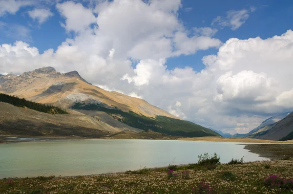 山和云在加拿大 — 图库照片