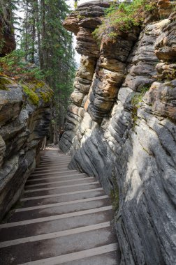 Merdiven kayaların arasında