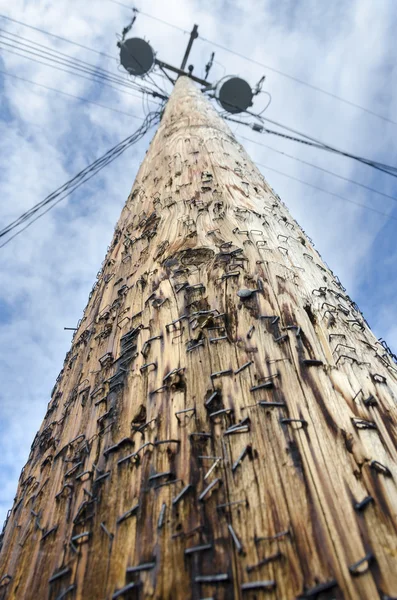 Light pole in canada — ストック写真