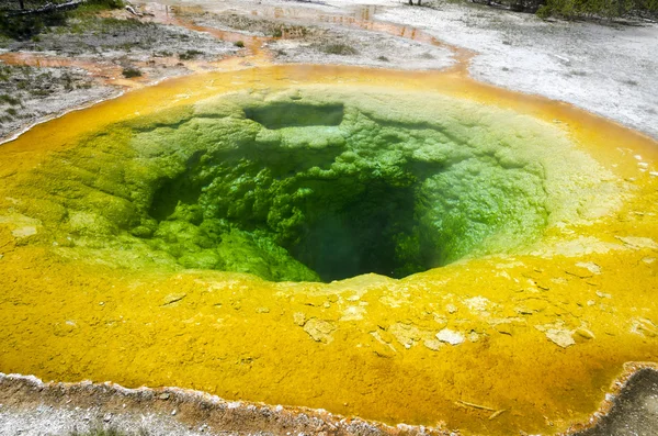 Morning Glory Pool — Stock Photo, Image