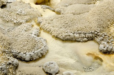 Yellowstone'da kireçtaşı