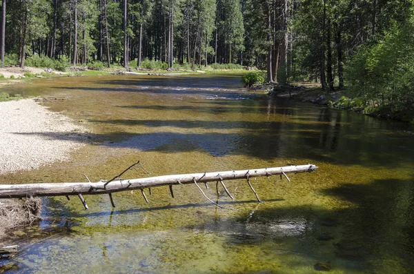 Yosemite Nemzeti Park — Stock Fotó