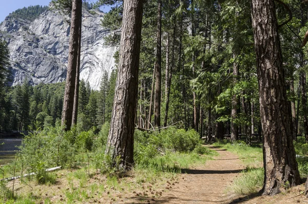 Parque Nacional de Yosemite — Fotografia de Stock