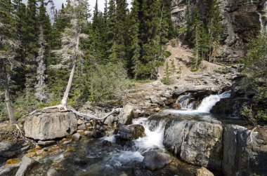 Dolaştırmak Creek Falls Kanada